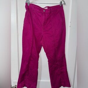 LOFT Women's Fuchsia Cropped Pants